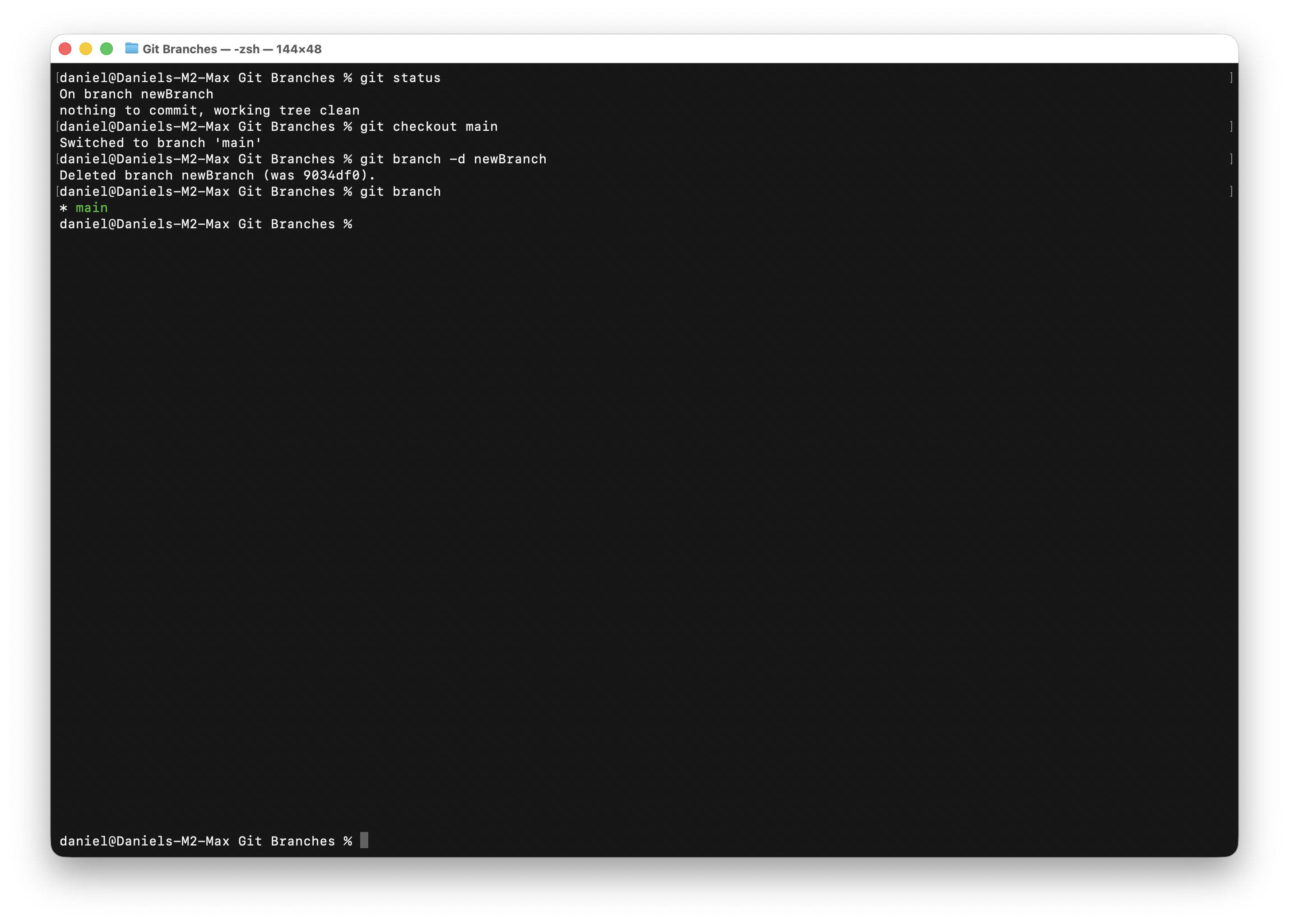 Deleting the branch via command line
